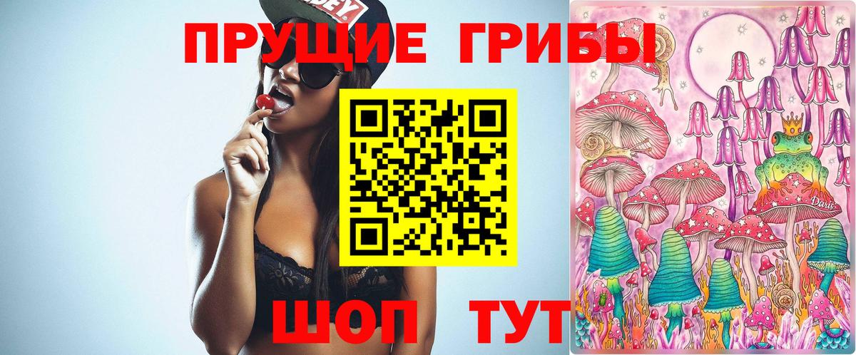 Псилоцибиновые грибы Cubensis  купить наркотик  Краснодар 